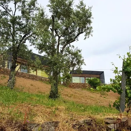 2 Bedrooms Bungalow With Shared Pool Garden And Wifi At Furtado